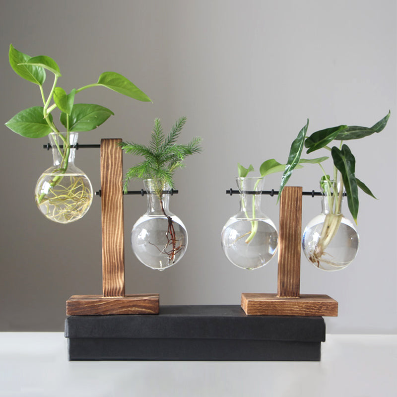 Vintage Glass Hydroponic Terrarium Plant Vase